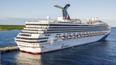 Carnival, US Steel, Occidental Petroleum, and More
